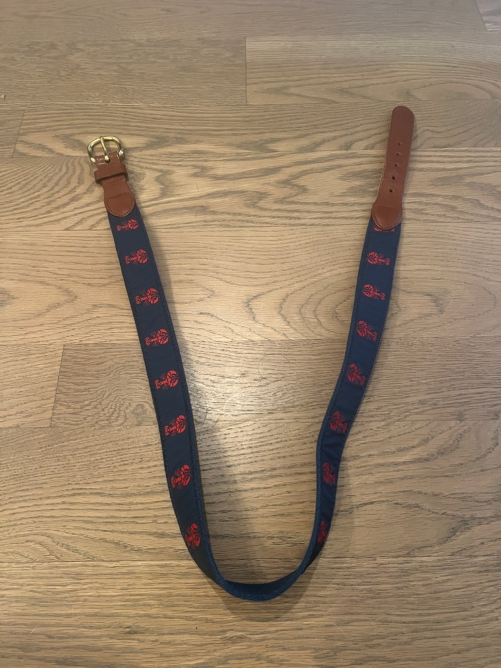 Women’s  Navy Blue Web Belt with Red Embroidered Motif and Brown Leather Trim